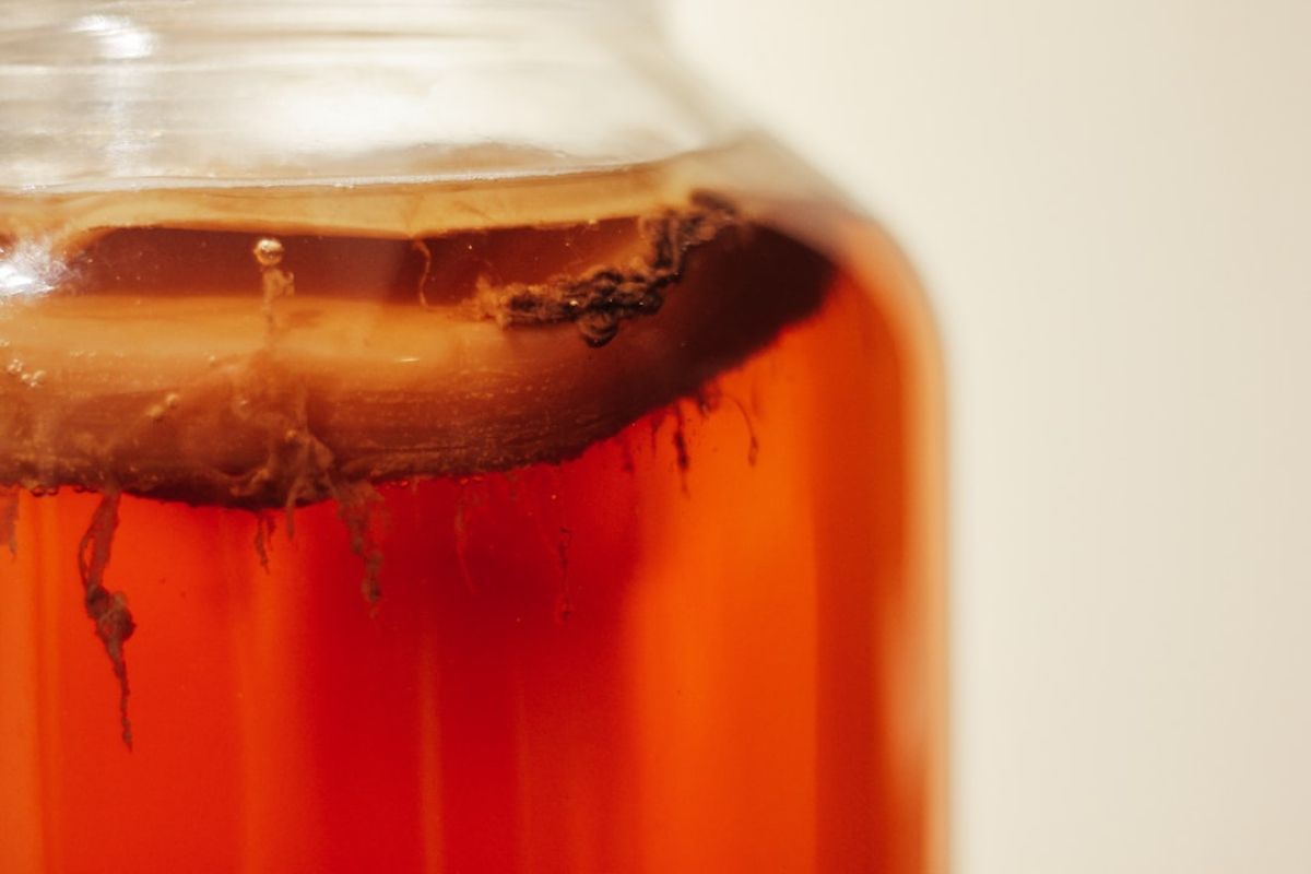 Kombucha : le thé fermenté aux mille vertus