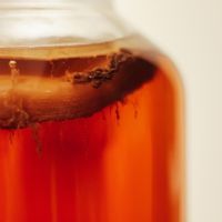 Kombucha : le thé fermenté aux mille vertus